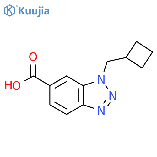 1-(cyclobutylmethyl)-1H-1,2,3-benzotriazole-6-carboxylic acid structure