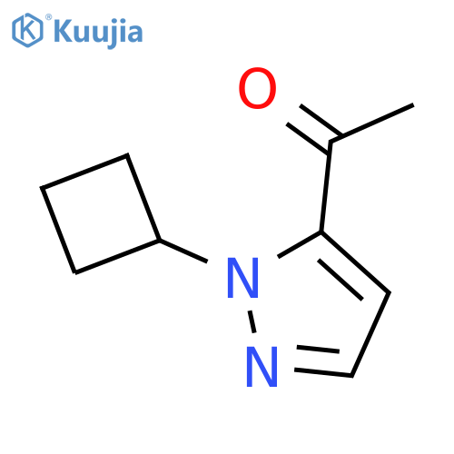 1-(1-cyclobutyl-1H-pyrazol-5-yl)ethan-1-one structure
