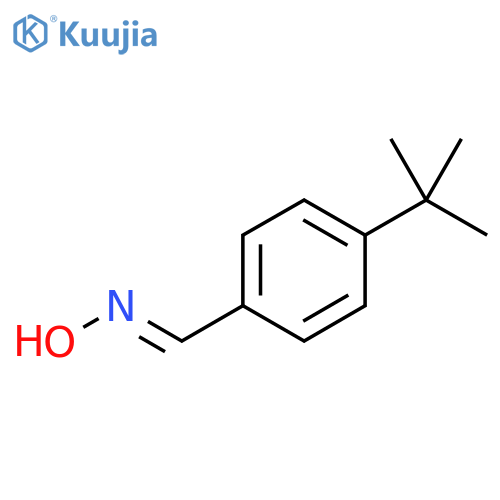 N-(4-tert-butylphenyl)methylidenehydroxylamine structure