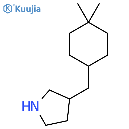 3-(4,4-dimethylcyclohexyl)methylpyrrolidine structure