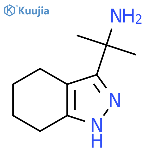 2-(4,5,6,7-tetrahydro-1H-indazol-3-yl)propan-2-amine structure