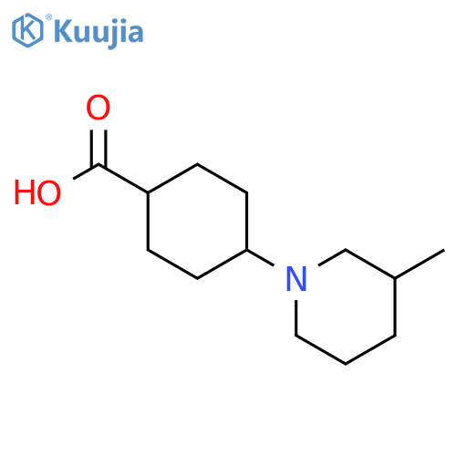 4-(3-methylpiperidin-1-yl)cyclohexane-1-carboxylic acid structure