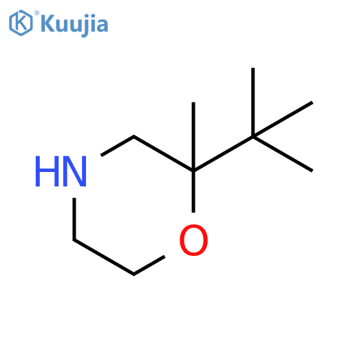 2-tert-butyl-2-methylmorpholine structure