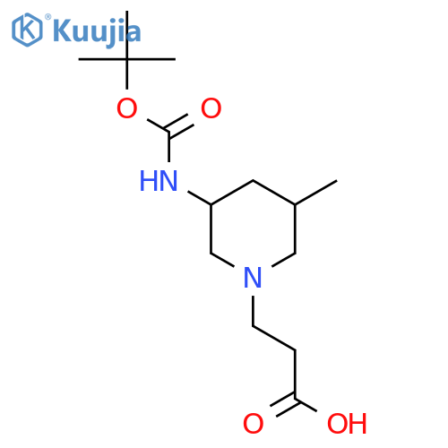 3-(3-{(tert-butoxy)carbonylamino}-5-methylpiperidin-1-yl)propanoic acid structure
