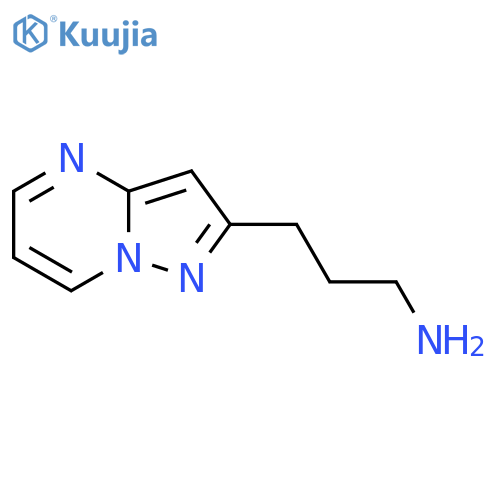 3-{pyrazolo1,5-apyrimidin-2-yl}propan-1-amine structure