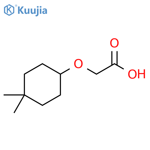 2-(4,4-dimethylcyclohexyl)oxyacetic acid structure