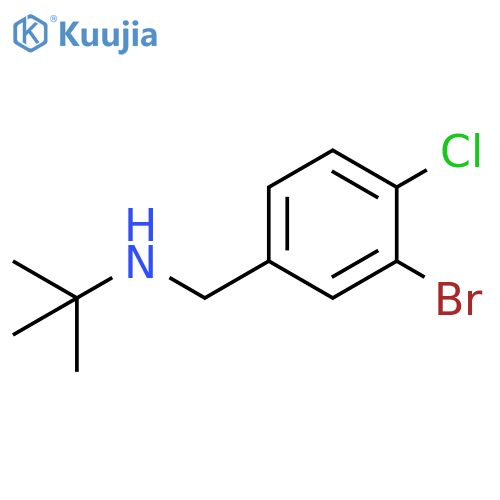 (3-bromo-4-chlorophenyl)methyl(tert-butyl)amine structure