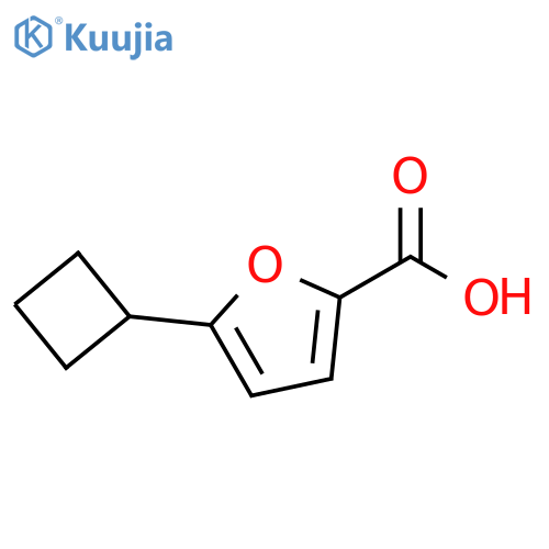 5-cyclobutylfuran-2-carboxylic acid structure