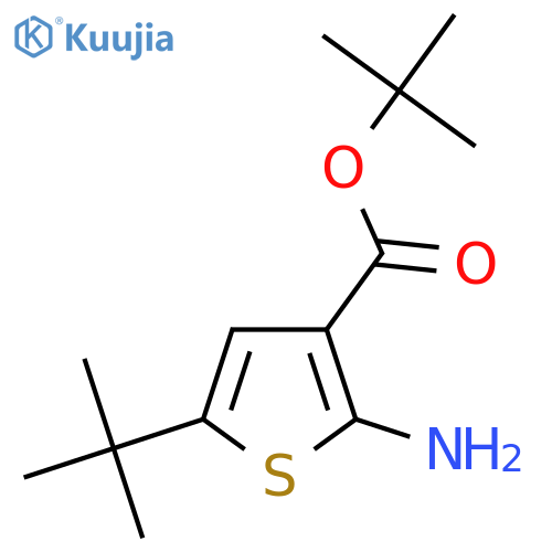 Tert-butyl 2-amino-5-tert-butylthiophene-3-carboxylate structure