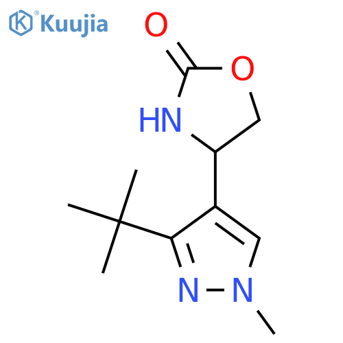 4-(3-tert-butyl-1-methyl-1H-pyrazol-4-yl)-1,3-oxazolidin-2-one structure
