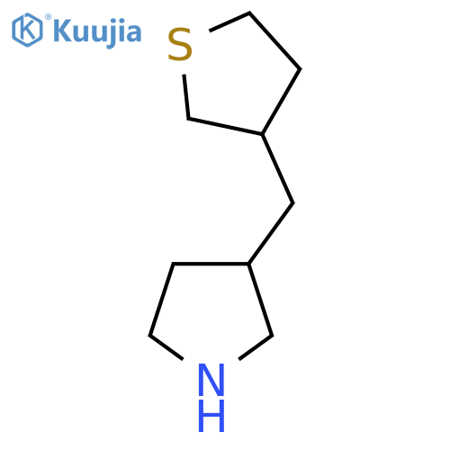 3-(thiolan-3-yl)methylpyrrolidine structure
