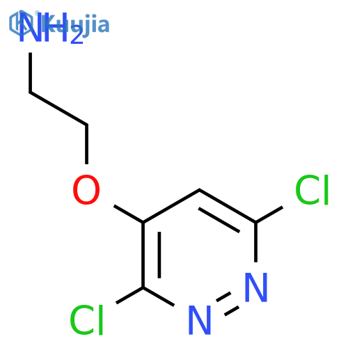 2-(3,6-dichloropyridazin-4-yl)oxyethan-1-amine structure