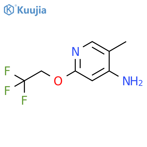 4-Pyridinamine, 5-methyl-2-(2,2,2-trifluoroethoxy)- structure