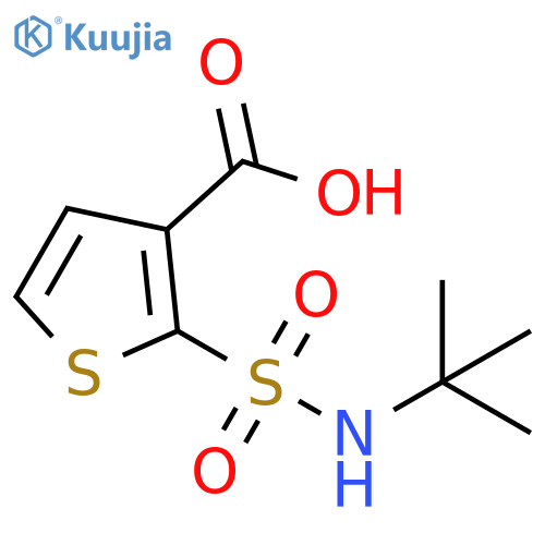 2-(tert-butylsulfamoyl)thiophene-3-carboxylic acid structure