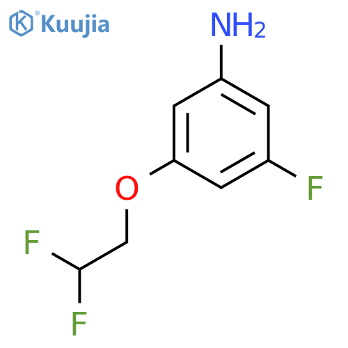 3-(2,2-Difluoroethoxy)-5-fluoroaniline structure