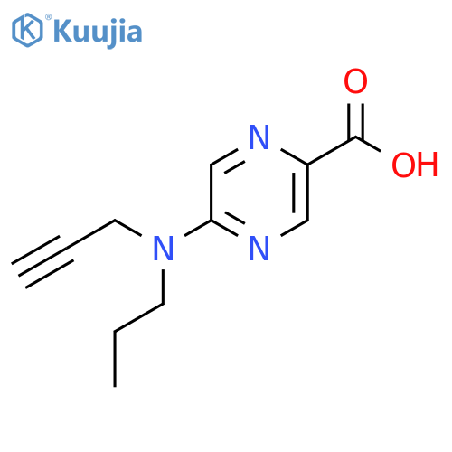5-(prop-2-yn-1-yl)(propyl)aminopyrazine-2-carboxylic acid structure