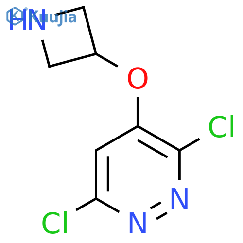 4-(azetidin-3-yloxy)-3,6-dichloropyridazine structure