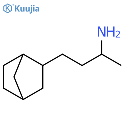 4-{bicyclo2.2.1heptan-2-yl}butan-2-amine structure