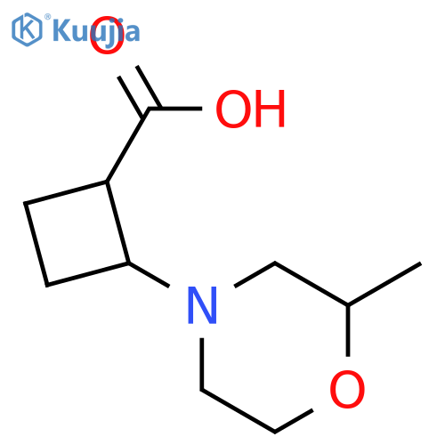 2-(2-methylmorpholin-4-yl)cyclobutane-1-carboxylic acid structure