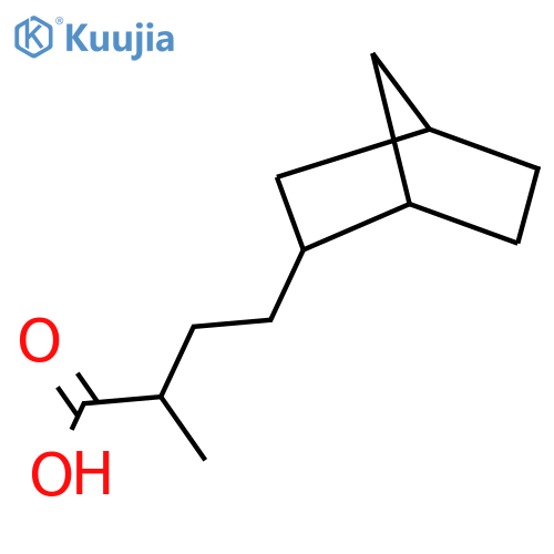 4-{bicyclo2.2.1heptan-2-yl}-2-methylbutanoic acid structure