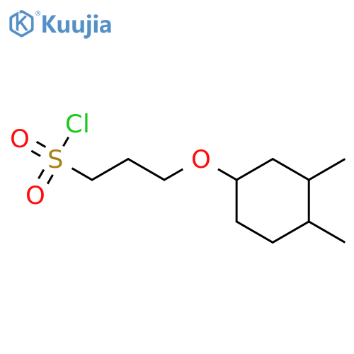 3-(3,4-dimethylcyclohexyl)oxypropane-1-sulfonyl chloride structure