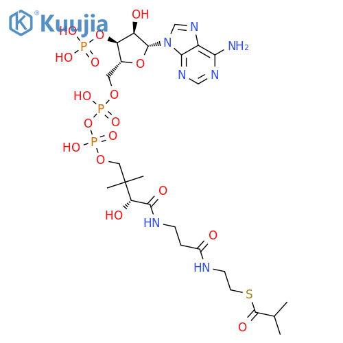 Coenzyme A, S-(2-methylpropanoate) structure