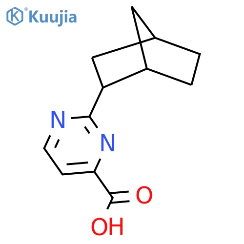2-{Bicyclo[2.2.1]heptan-2-yl}pyrimidine-4-carboxylic acid structure