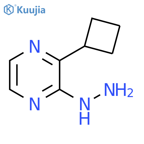 2-cyclobutyl-3-hydrazinylpyrazine structure