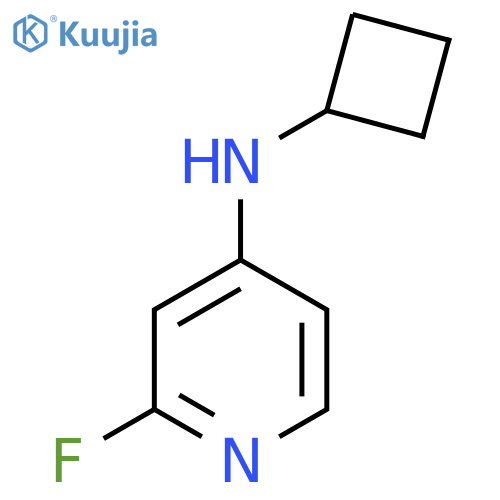 N-Cyclobutyl-2-fluoropyridin-4-amine structure