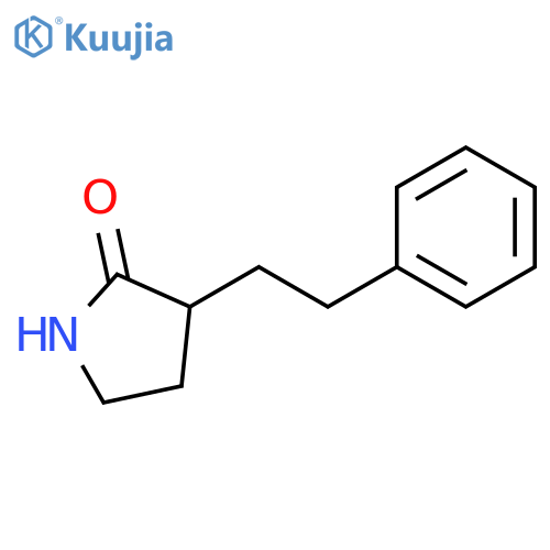 3-(2-phenylethyl)pyrrolidin-2-one structure