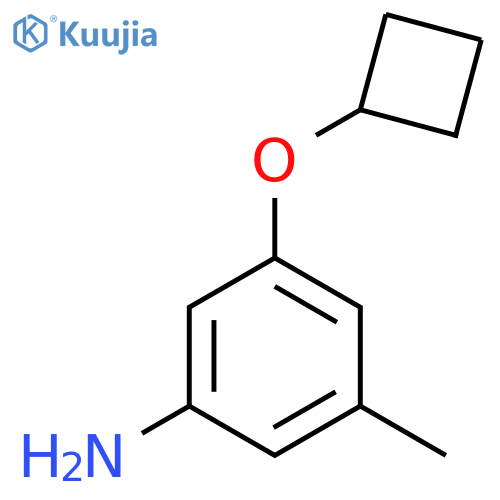 3-cyclobutoxy-5-methylaniline structure