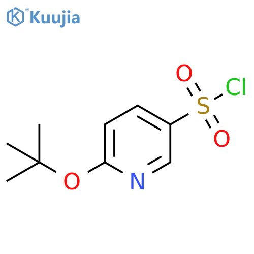 6-(tert-butoxy)pyridine-3-sulfonyl chloride structure