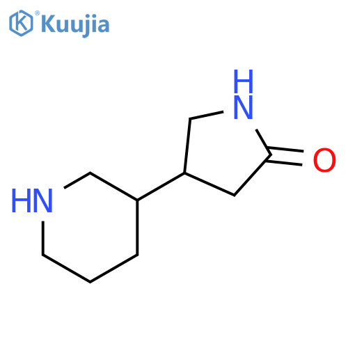 4-(piperidin-3-yl)pyrrolidin-2-one structure