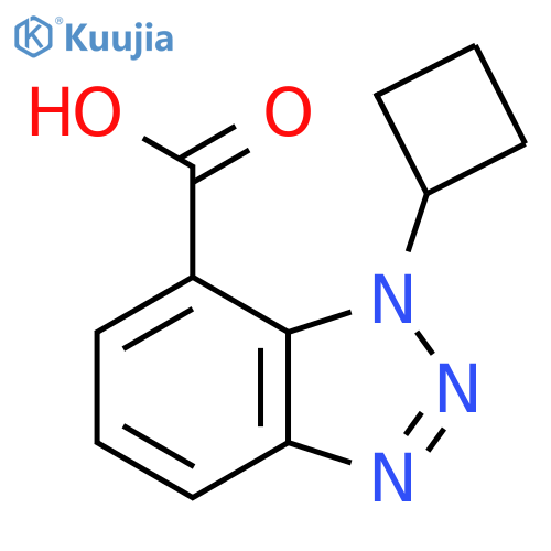 1-cyclobutyl-1H-1,2,3-benzotriazole-7-carboxylic acid structure