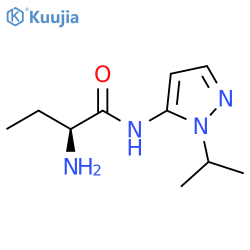 (2S)-2-amino-N-1-(propan-2-yl)-1H-pyrazol-5-ylbutanamide structure