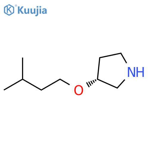 (3R)-3-(3-methylbutoxy)pyrrolidine structure