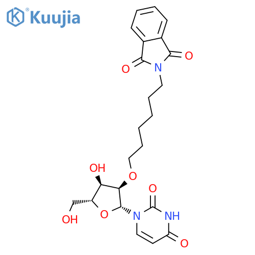 Uridine, 2'-O-[6-(1,3-dihydro-1,3-dioxo-2H-isoindol-2-yl)hexyl]- structure