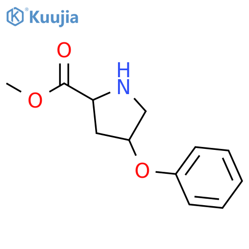 (2S,4S)-Methyl 4-phenoxypyrrolidine-2-carboxylate structure