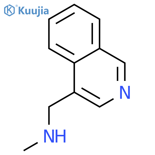 N-Methyl-(isoquinolin-4-ylmethyl)amine structure