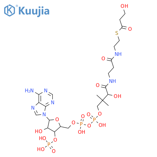 3-Hydroxypropionyl-CoA structure