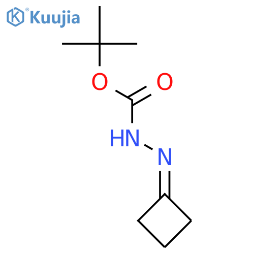 Hydrazinecarboxylicacid, 2-cyclobutylidene-, 1,1-dimethylethyl ester structure