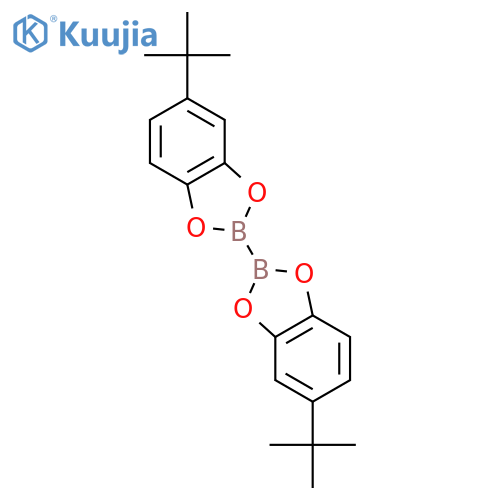 2,2'-Bi-1,3,2-benzodioxaborole, 5,5'-bis(1,1-dimethylethyl)- structure