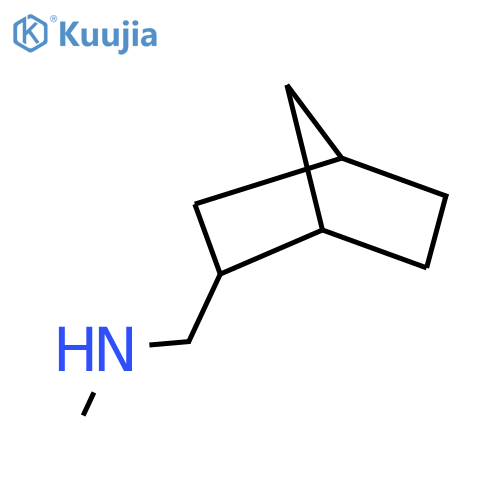 {Bicyclo[2.2.1]heptan-2-ylmethyl}(methyl)amine structure
