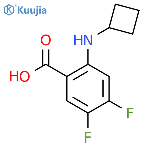 2-(Cyclobutylamino)-4,5-difluorobenzoic acid structure
