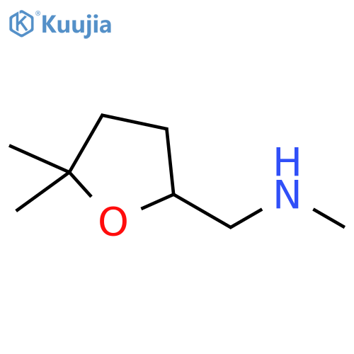 (5,5-dimethyloxolan-2-yl)methyl(methyl)amine structure