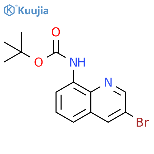 1,1-Dimethylethyl N-(3-bromo-8-quinolinyl)carbamate structure
