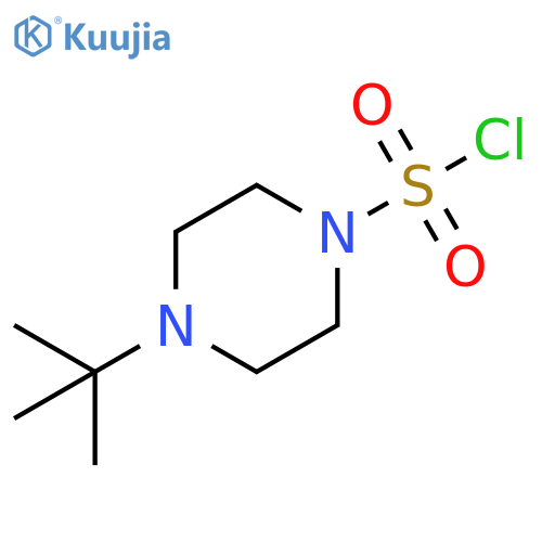 4-tert-butylpiperazine-1-sulfonyl chloride structure