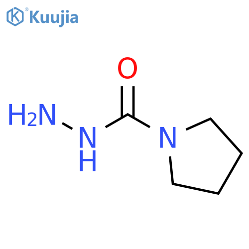 pyrrolidine-1-carbohydrazide structure