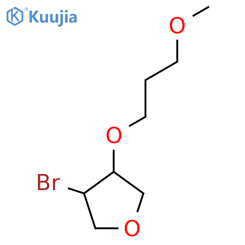 3-bromo-4-(3-methoxypropoxy)oxolane structure