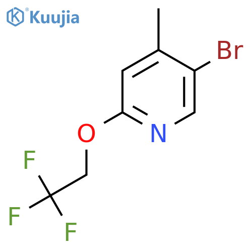5-Bromo-4-methyl-2-(2,2,2-trifluoroethoxy)pyridine structure